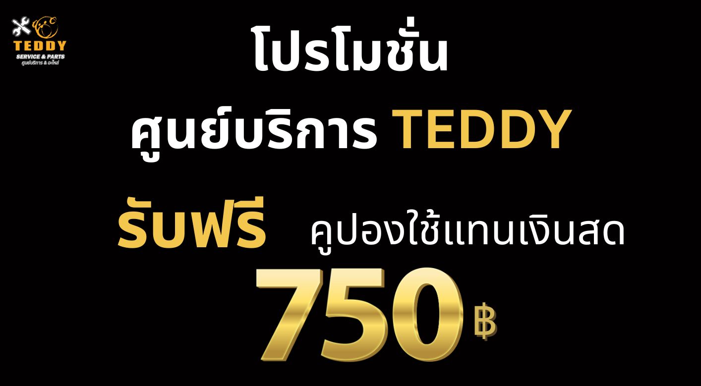 สิทธิพิเศษสำหรับลูกค้า ศูนย์บริการ TEDDY 